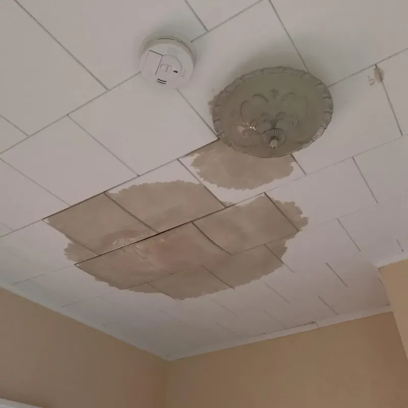 Ceiling Water Damage Repair in North Branch, MN