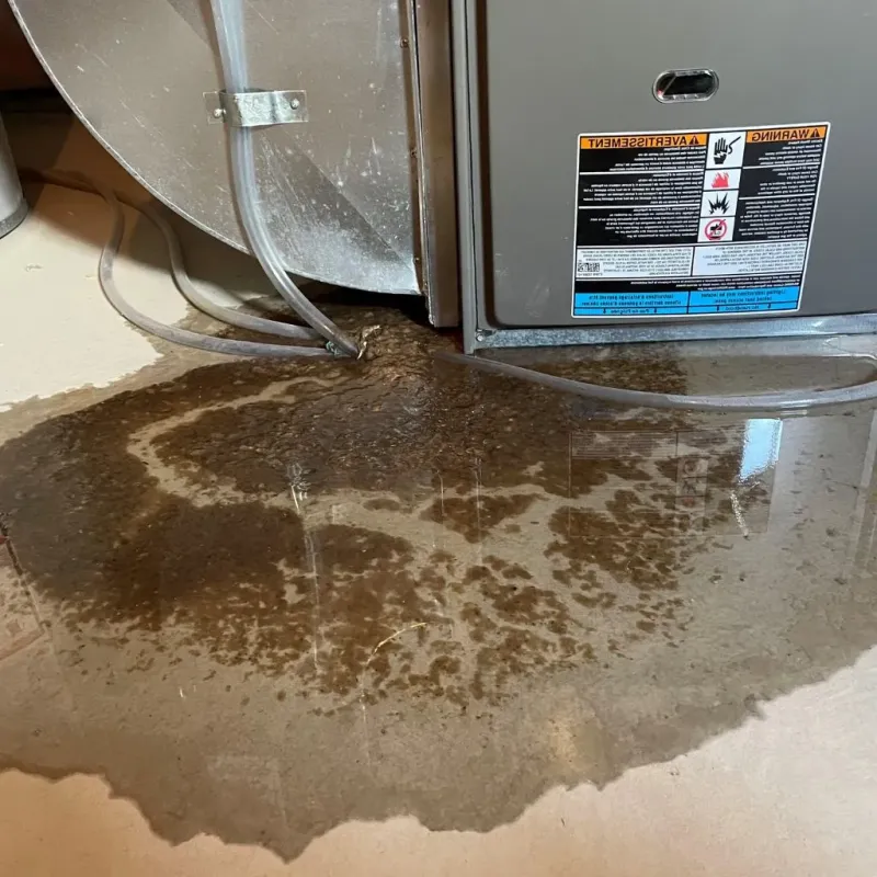 Pipe Burst and Leak Restoration in North Branch, MN