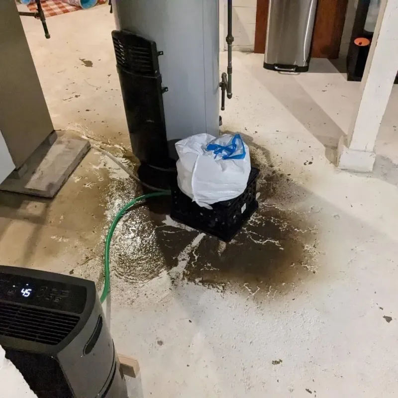 Sewage Backup Cleanup Service in North Branch, MN